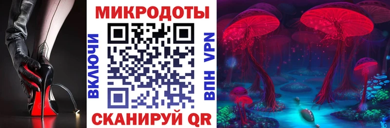 Купить закладки  Бирюсинск  Псилоцибиновые грибы мицелий 